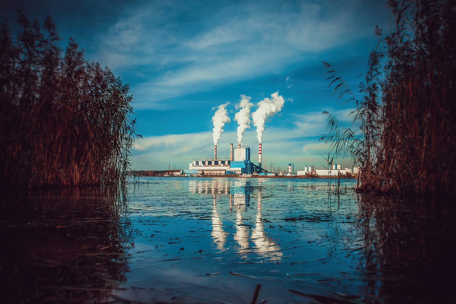 Aurö: Leading the Way in Environmental and Resource Economics